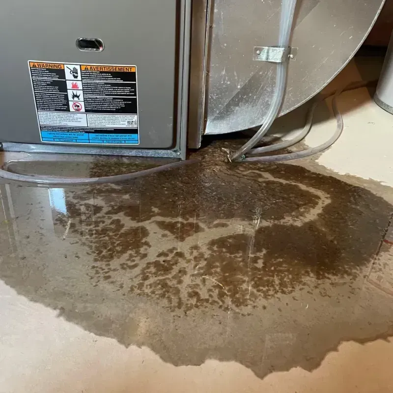 Appliance Leak Cleanup in Shaw, MS